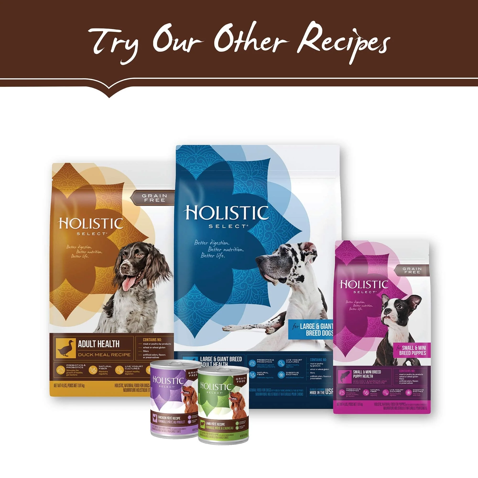 Holistic Select Natural Adult Health Anchovy, Sardine, and Salmon Meal Recipe Dry Dog Food - Image 8