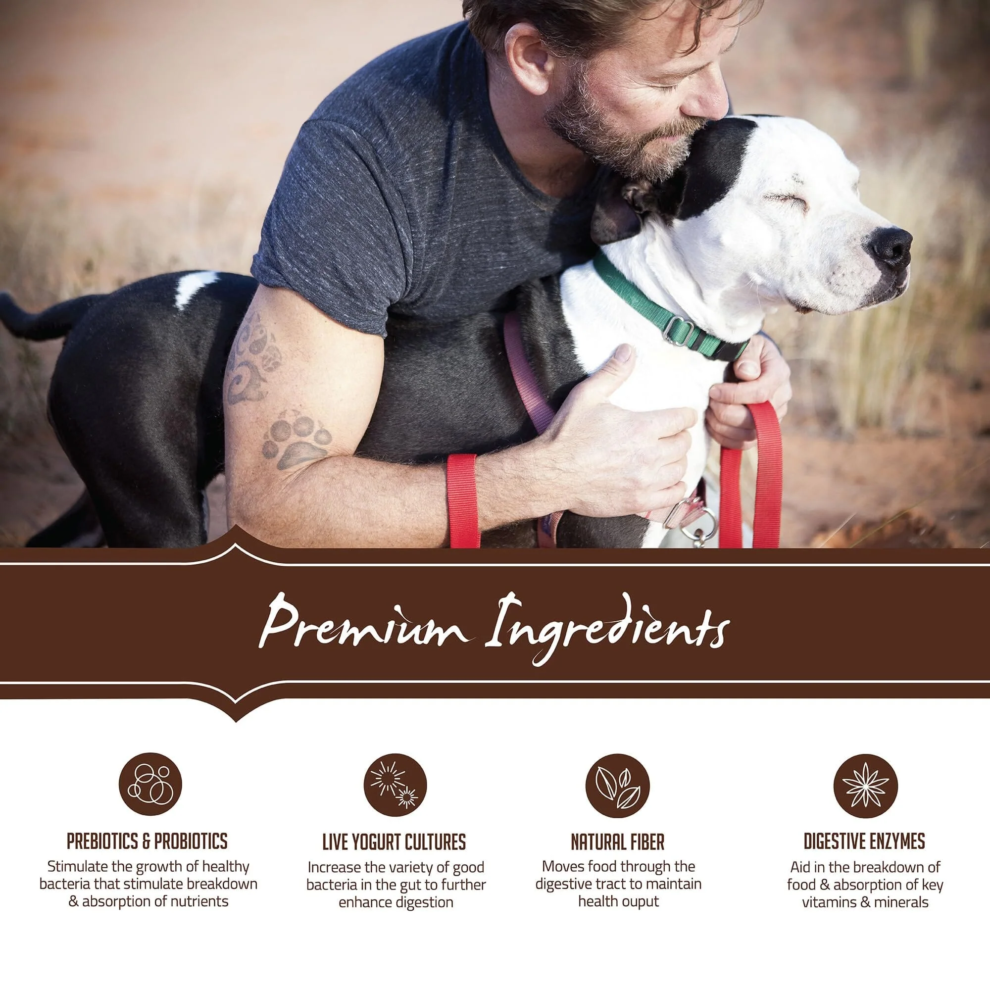 Holistic Select Natural Adult & Puppy Health Salmon, Anchovy, and Sardine Meal Recipe Dry Dog Food - Image 2
