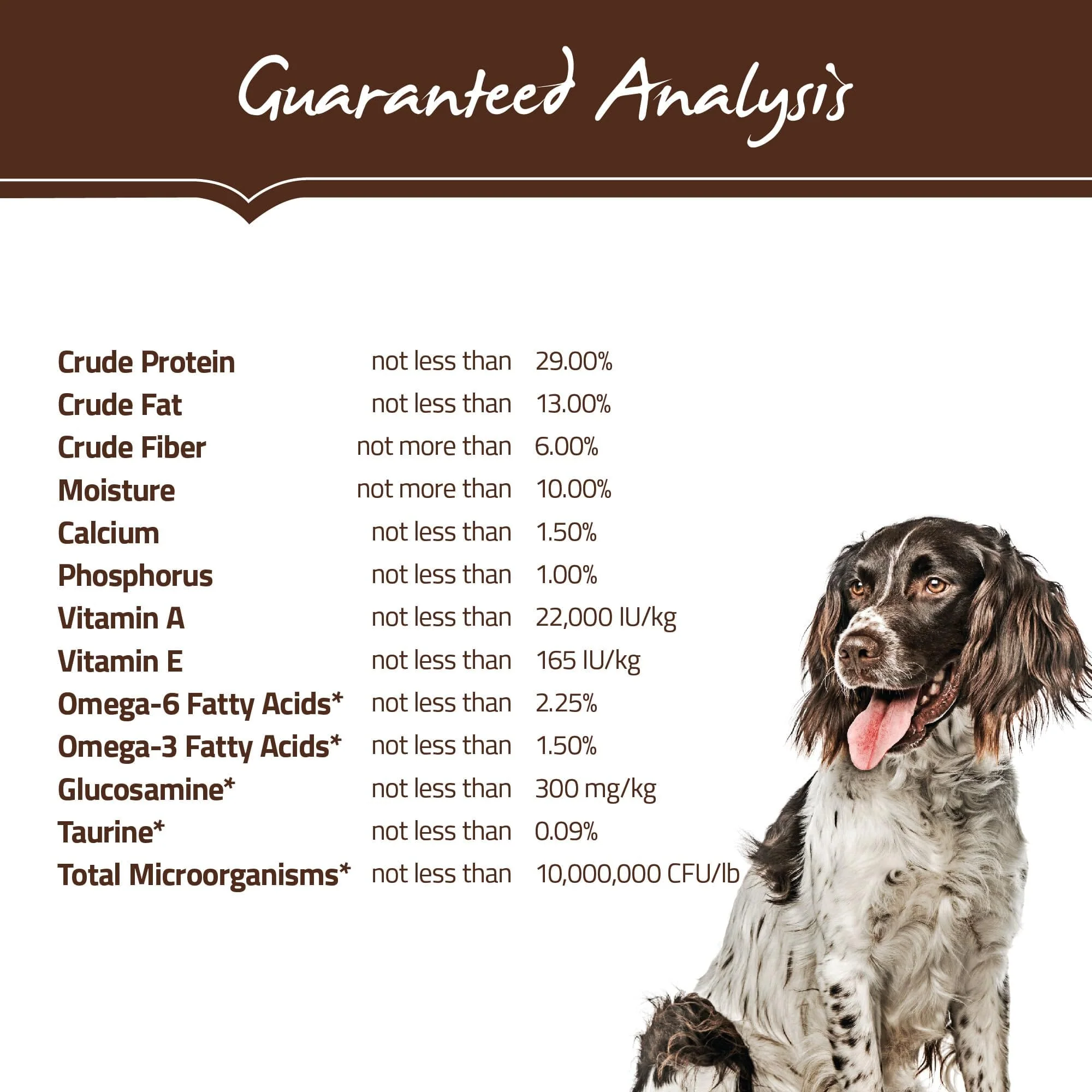 Holistic Select Natural Grain Free Duck Meal Dry Dog Food - Image 5