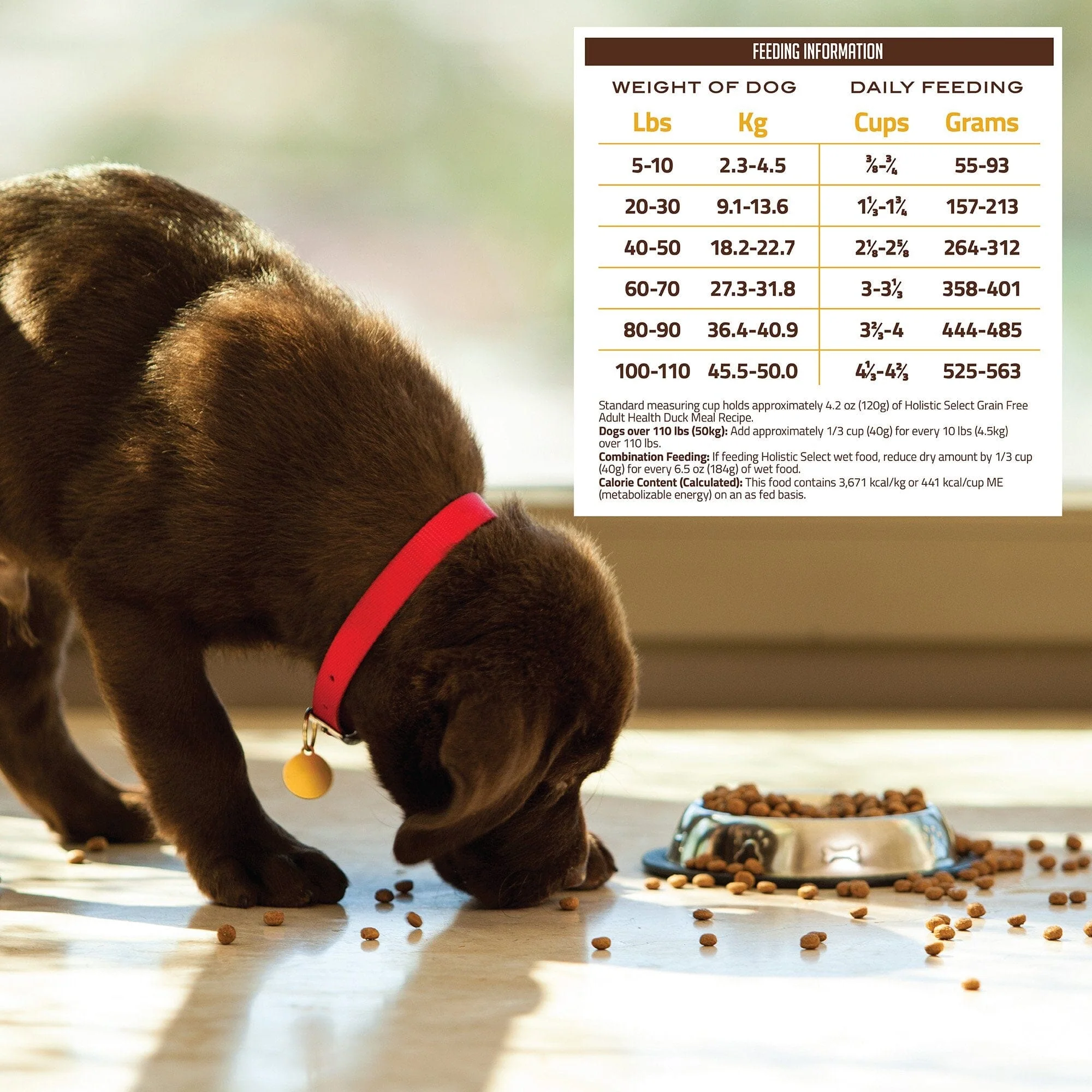 Holistic Select Natural Grain Free Duck Meal Dry Dog Food - Image 7