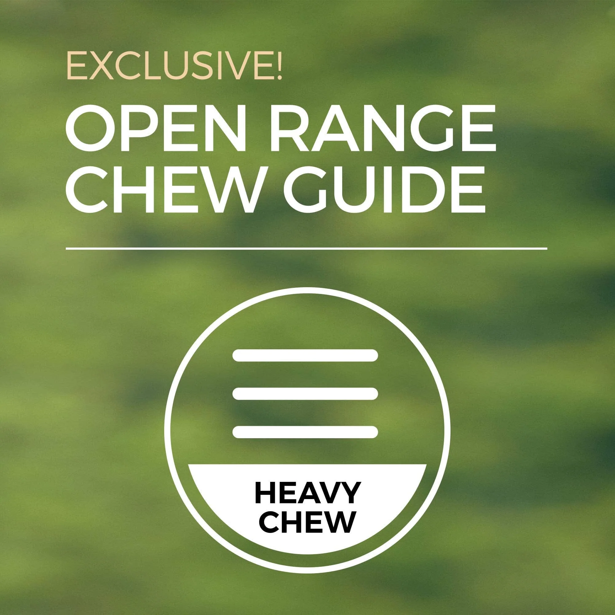 Home Range Beef Tendon Natural Dog Chews - 5-8 In - Case of 25 - Image 2