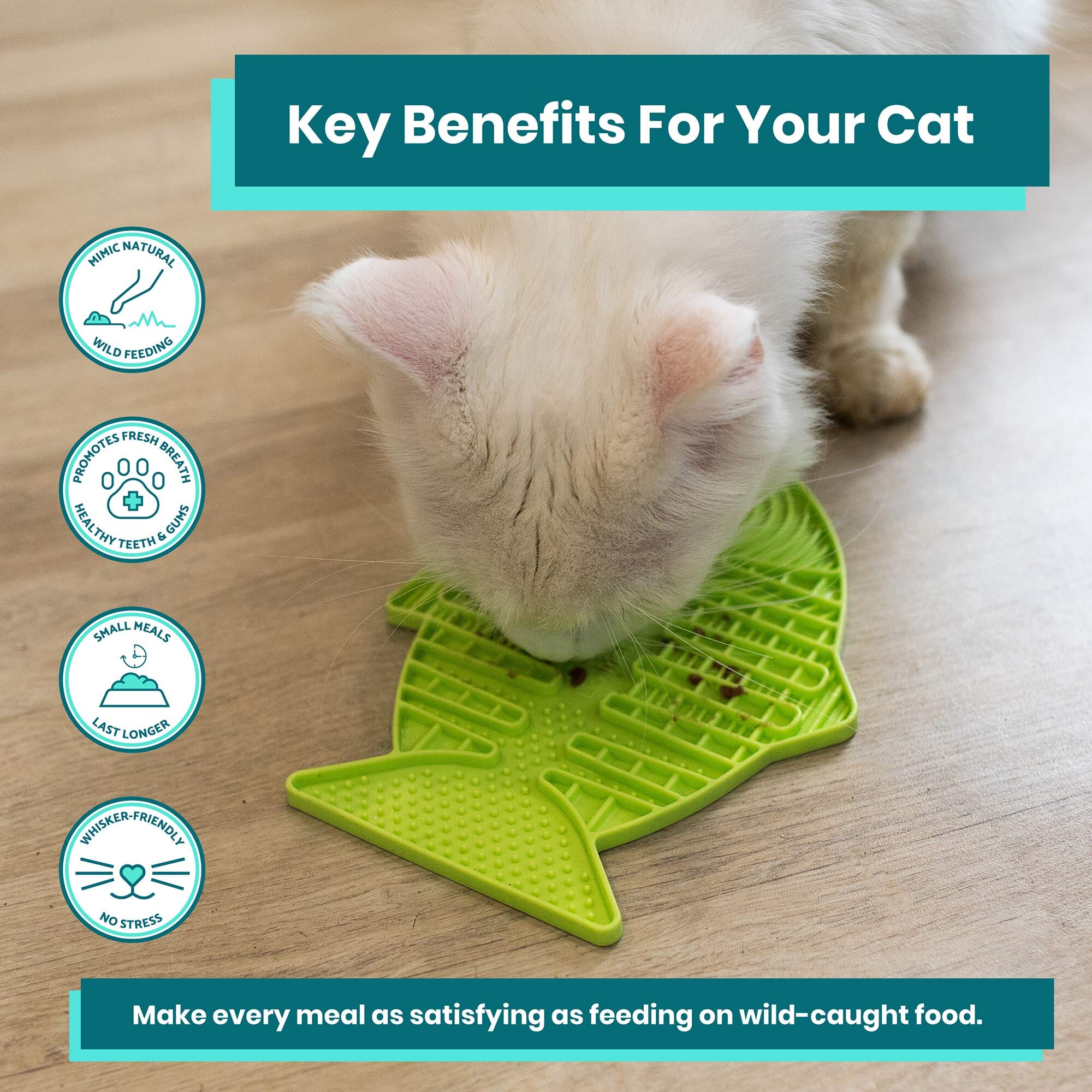Innovative Pet Lickimat Casper Slow Feeding Mat for Cats - Turquise - Image 4