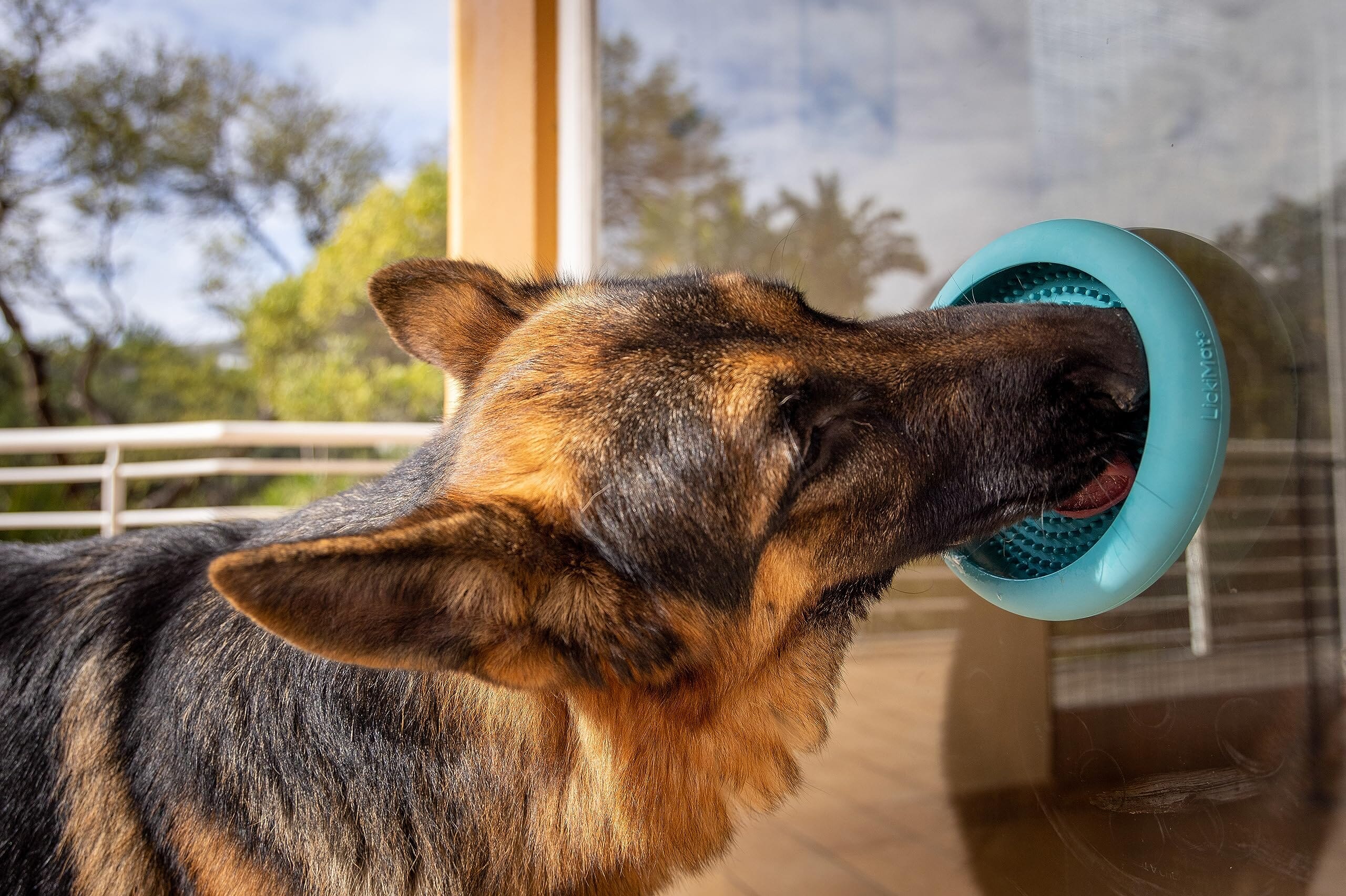 Innovative Pet Lickimat UFO Suction Grip Slow Feeding Rubber Cat and Dog Bowl - Green - Image 6