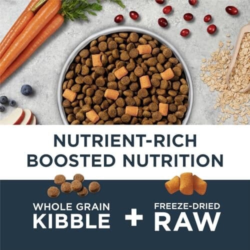 Instinct Raw Boost Gut Health Chicken and Whole Grain Kibble and Freeze-Dried Raw Dog Food - 3.5 Lbs - Image 2