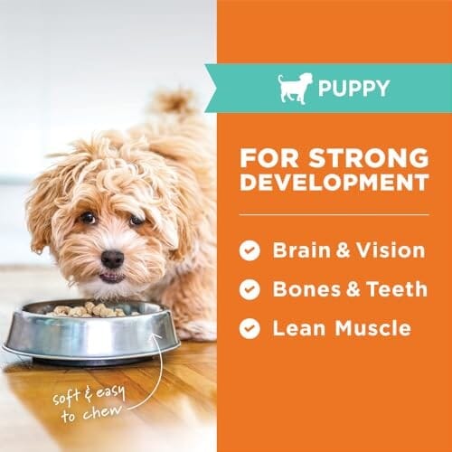 Instinct Raw Meals Chicken Puppy Formula Freeze-Dried Dog Food - Image 3