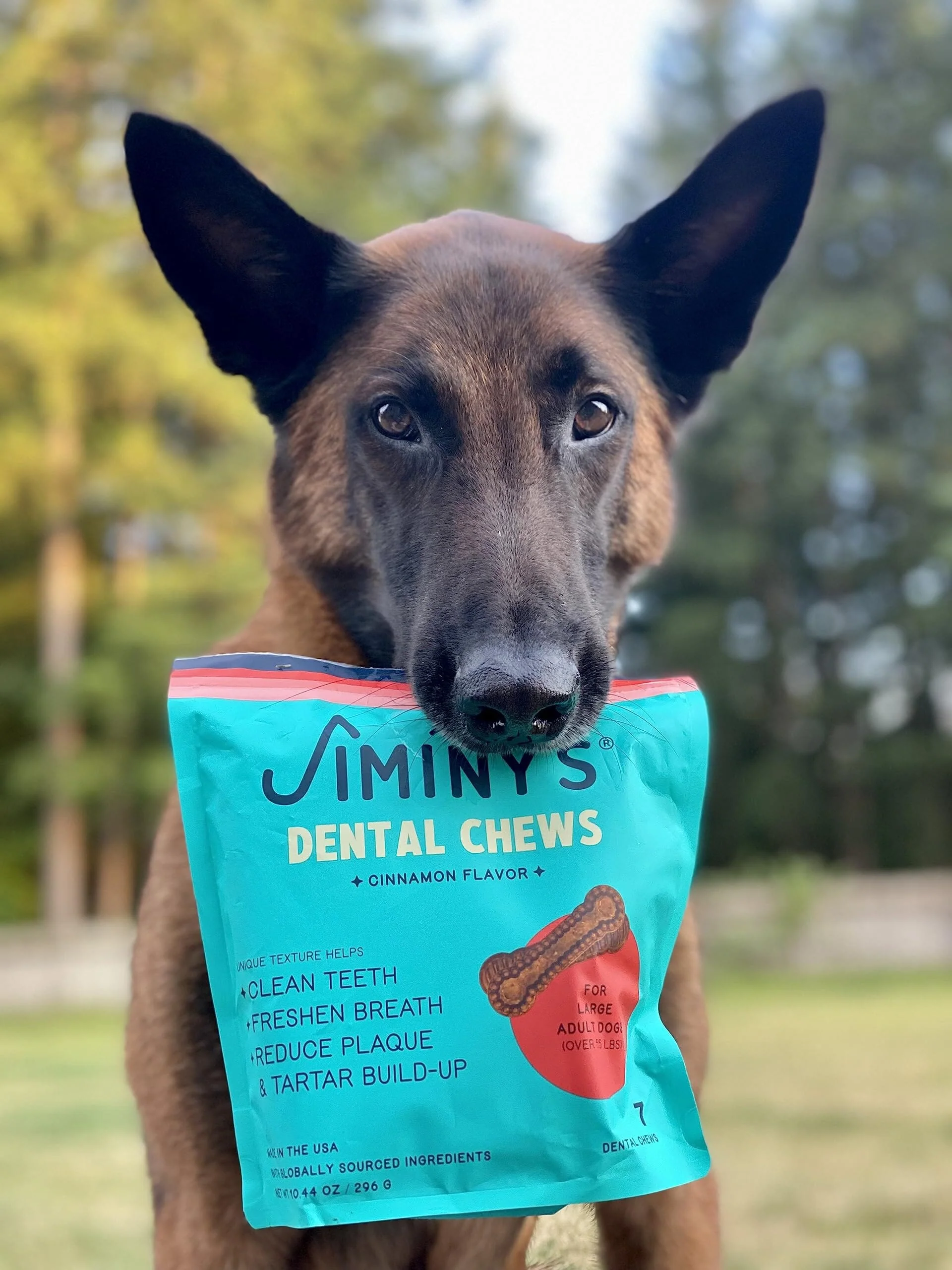 Jiminy's Cinnamon Flavored Dental Dog Chews - Medium - 12 Count - 12 Oz - Image 2