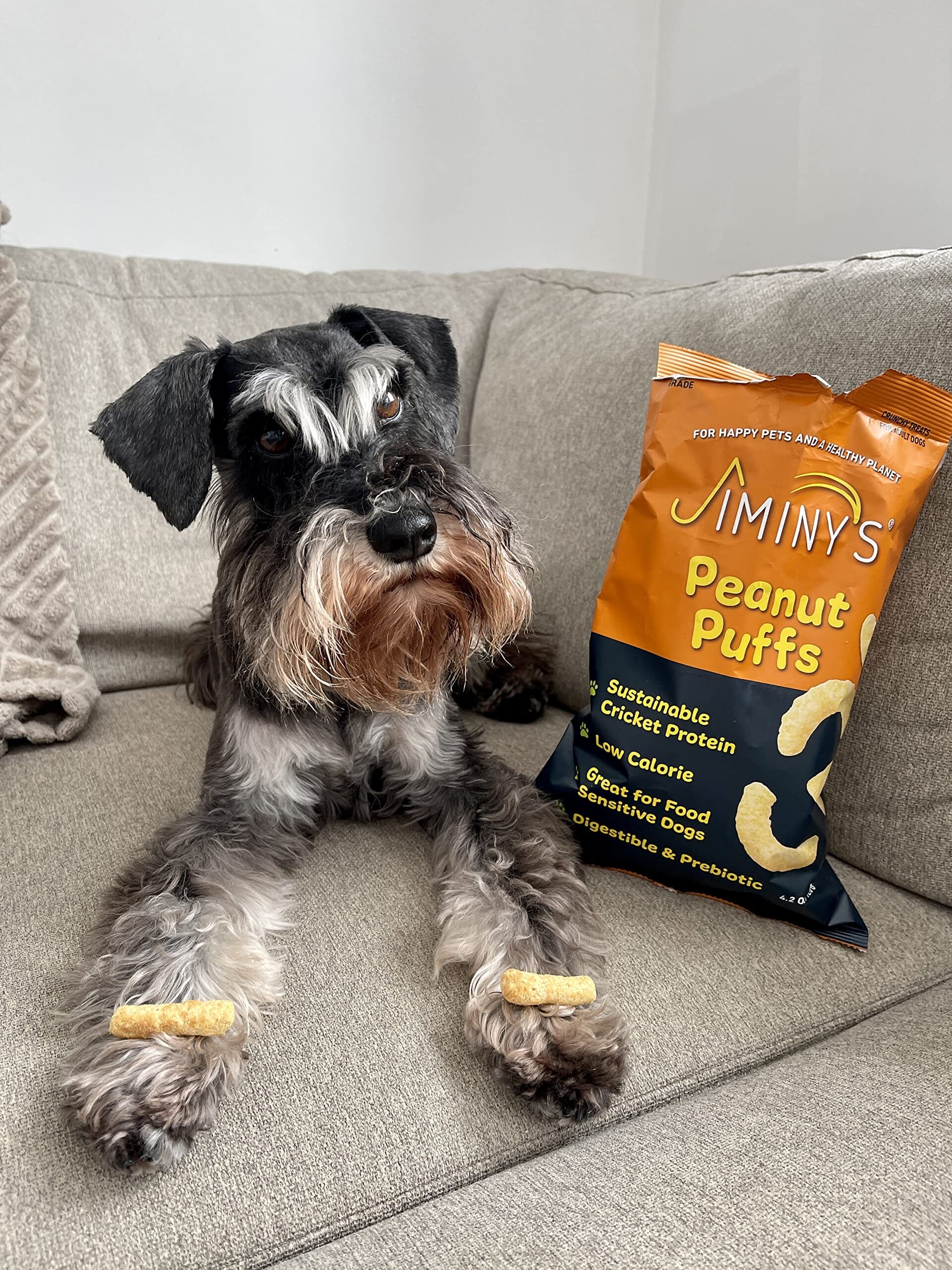 Jiminy's Cricket and Peanut Puffs Crunchy Dog Treats - 4.2 Oz - Image 5