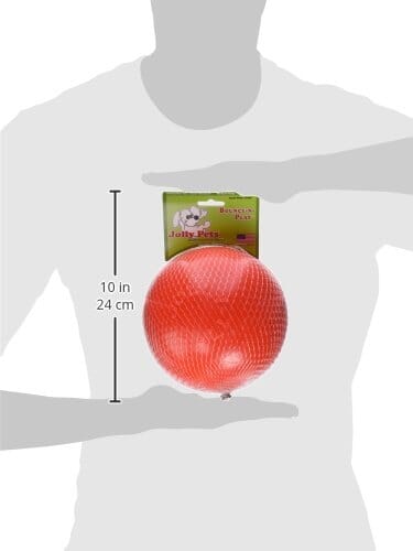 Jolly Pets Boune N' Play Original Orange Scented Ball Dog Toy - Orange - Image 3