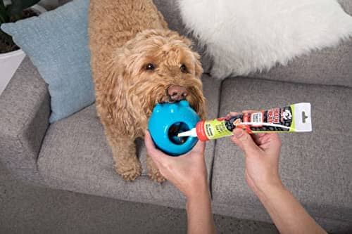 Jolly Pets Fill'n Treat Pumpkin and Peanut Butter Puree Dog Treats Tube - 5 Oz - Image 2