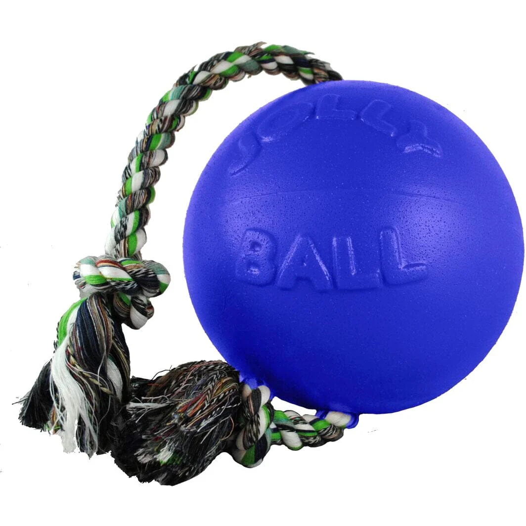 Jolly Pets Romp-N-Roll Puncture-Proof Ball with Rope Chew and Fetch Floating Dog Toy - Image 2