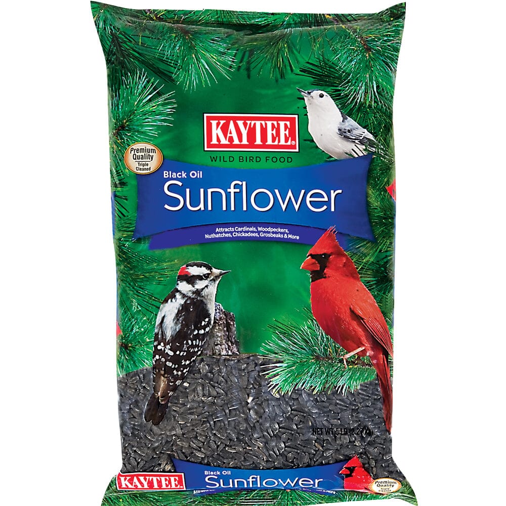 Kaytee Black Oil Sunflower Food - 5 lb