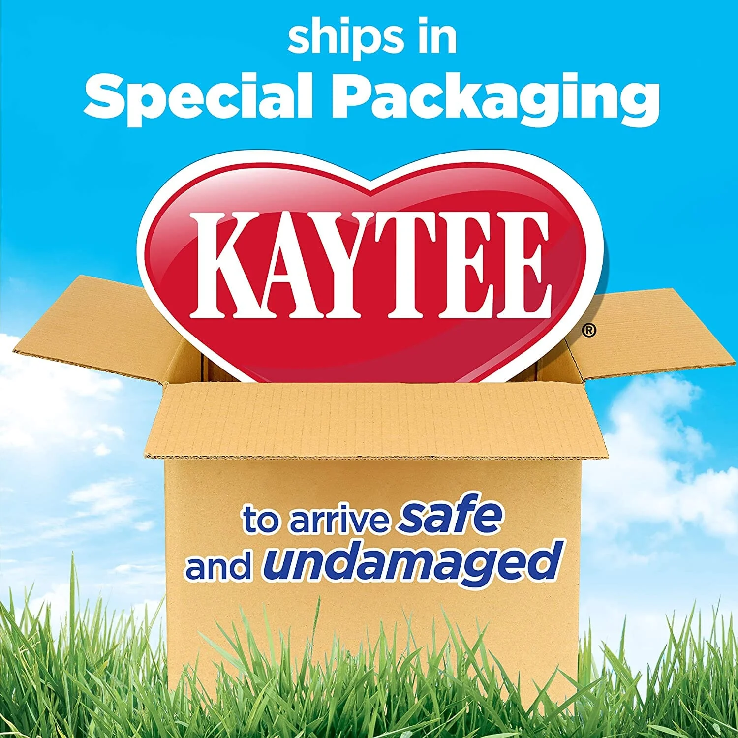 Kaytee CritterTrail Lazy Look-Out Accessory Kit - Image 4