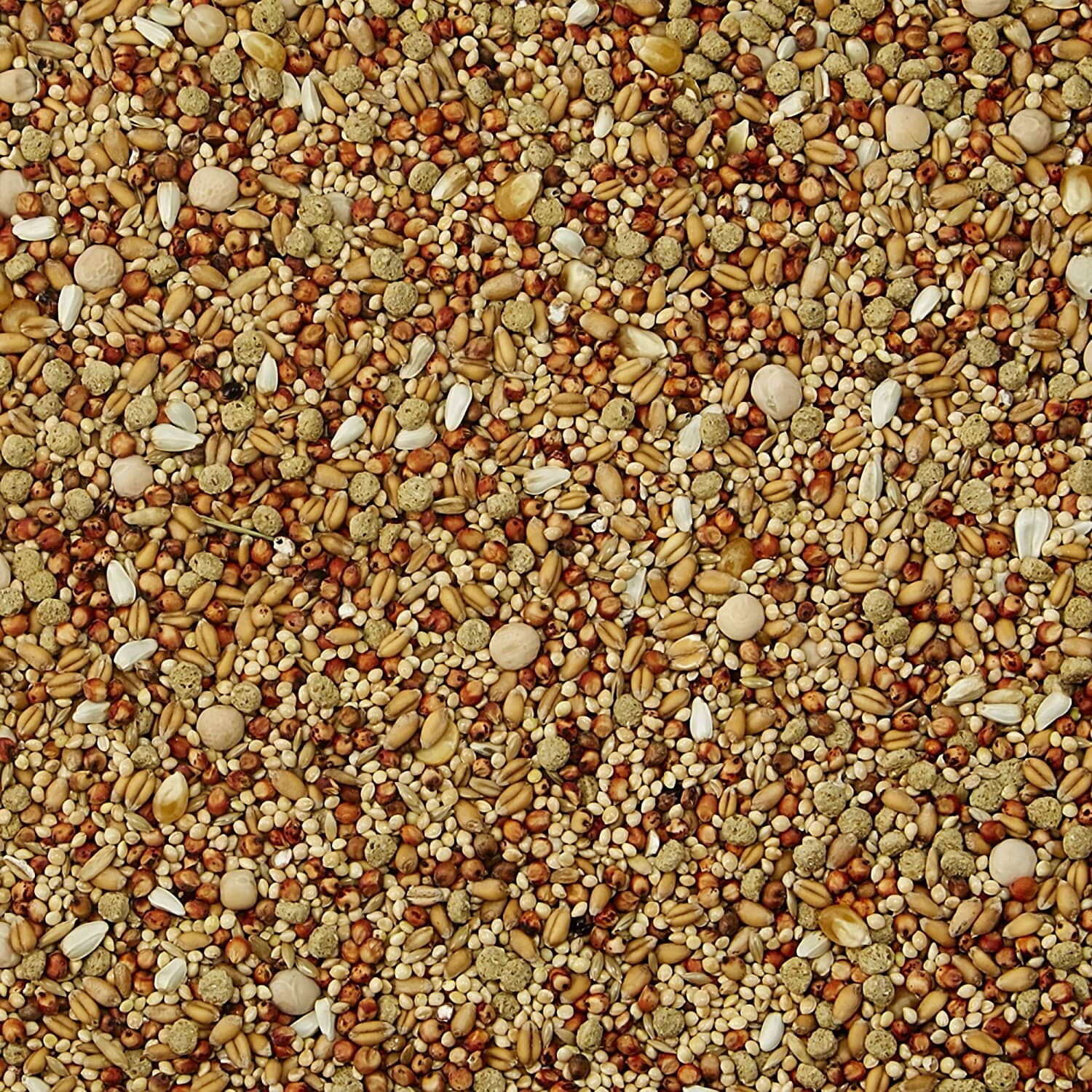 Kaytee Supreme Dove Food - 5 lb - Image 3