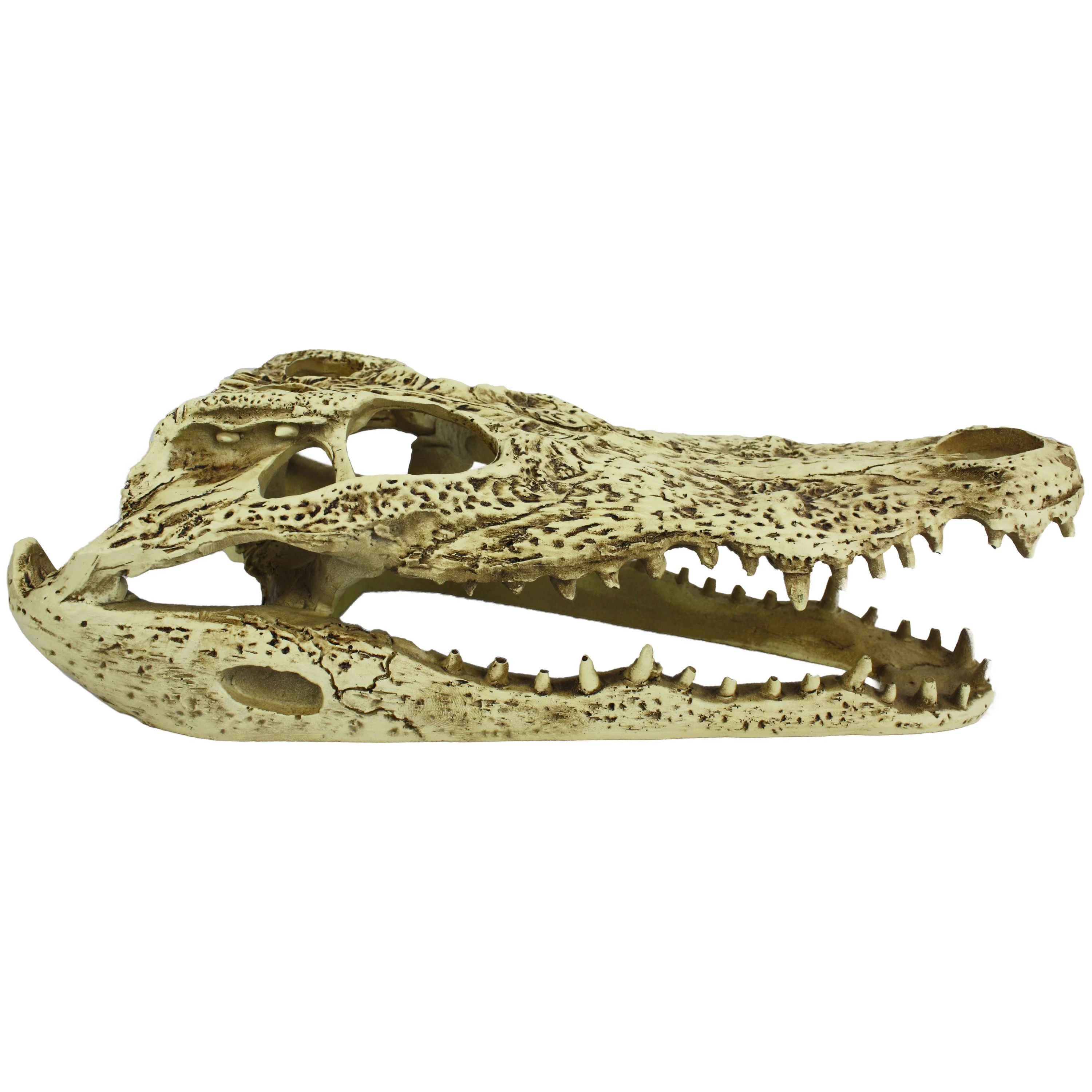 Komodo Alligator Skull Hideout - 9 in