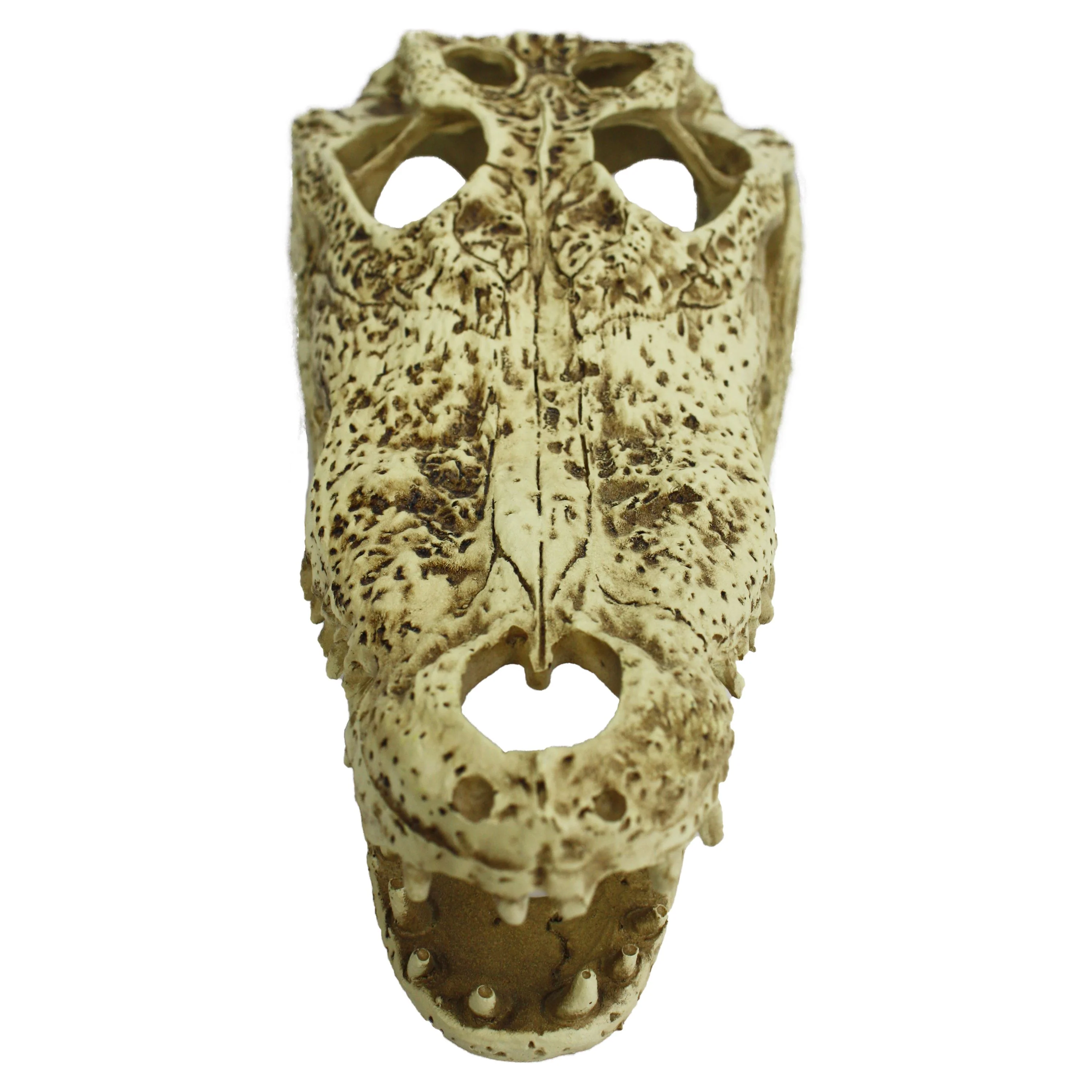 Komodo Alligator Skull Hideout - 9 in - Image 2
