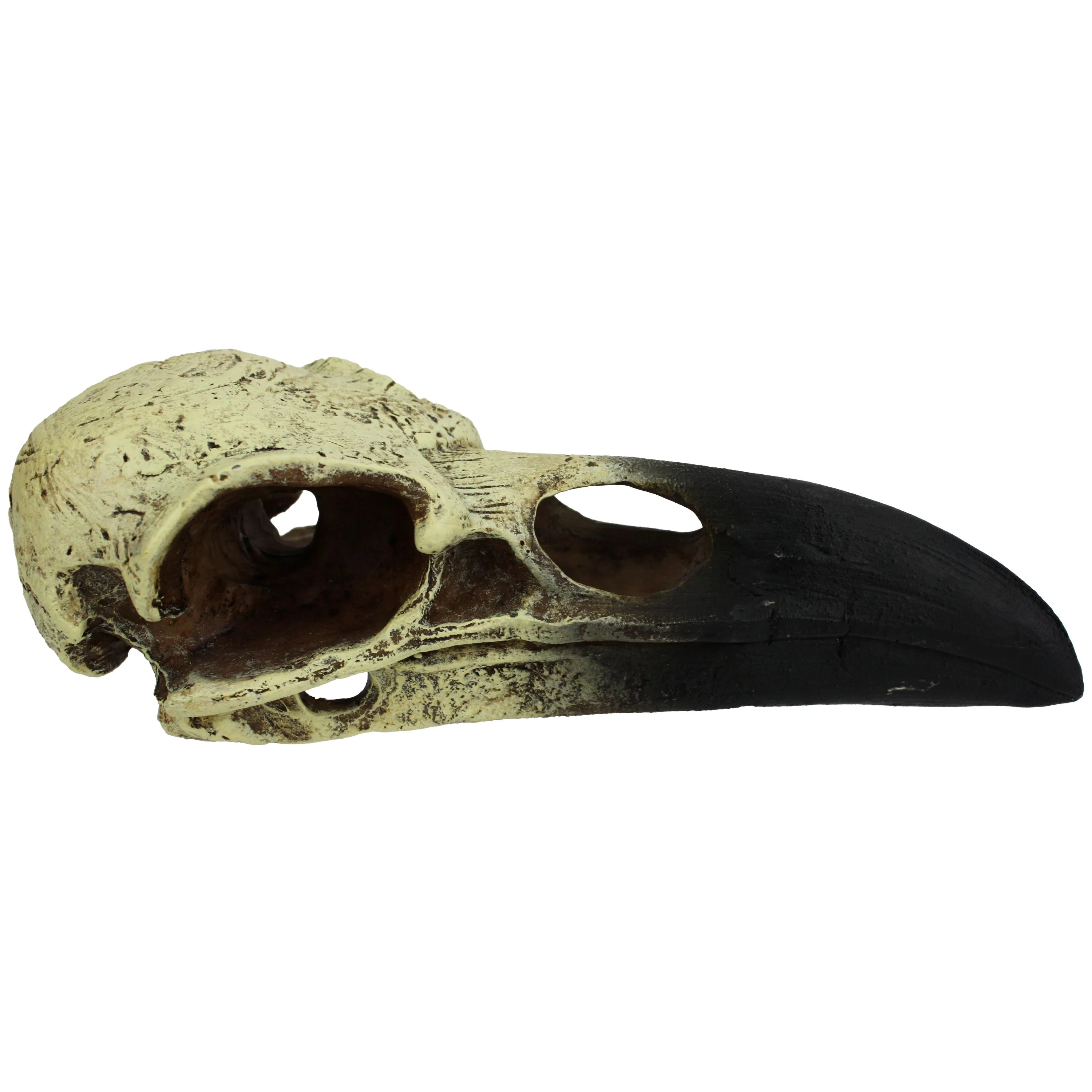 Komodo Raven Skull Hideout - 6 in - Medium