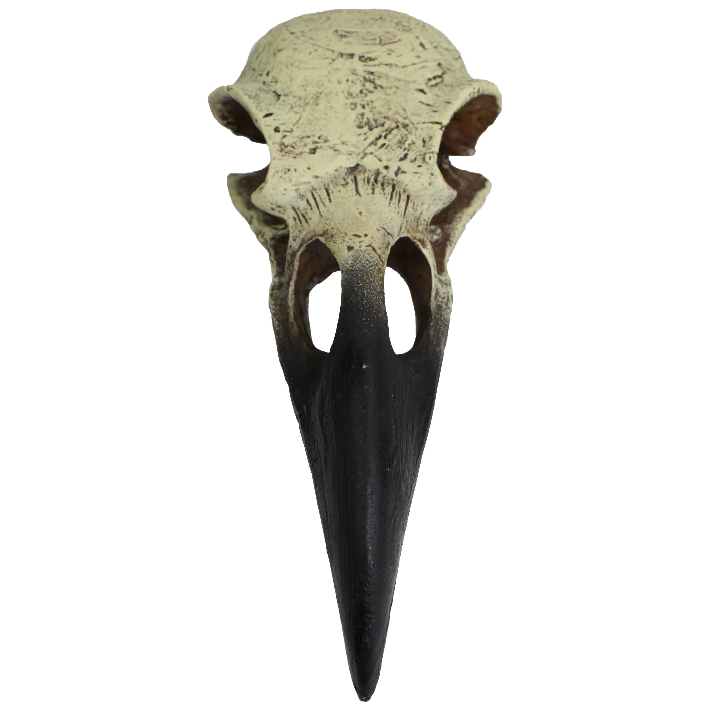 Komodo Raven Skull Hideout - 6 in - Medium - Image 2