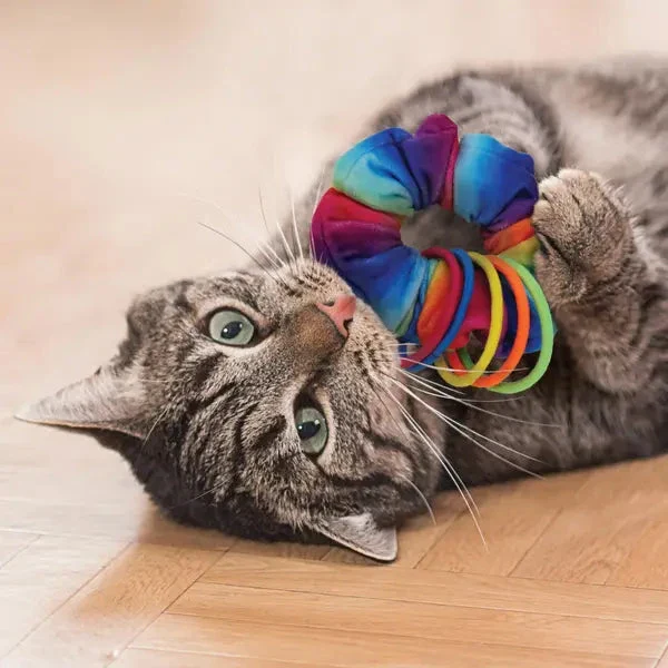 Kong Active Cat Scrunchie Crinkle Multi-Colored Catnip Cat Toy - Image 3