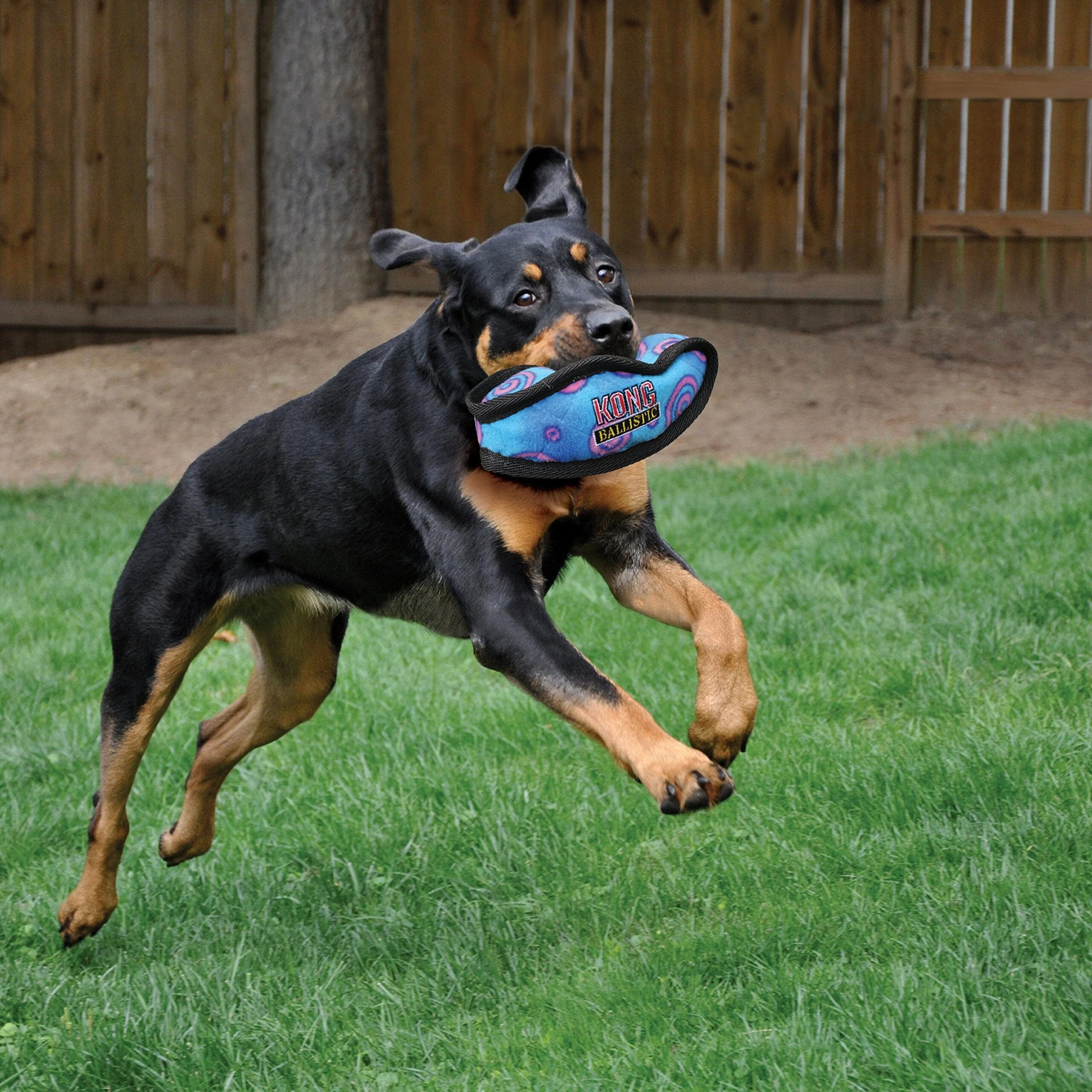 Kong Ballistic Dual-looped Tugging Nylon Dog Toy - Assorted - Large - Image 3