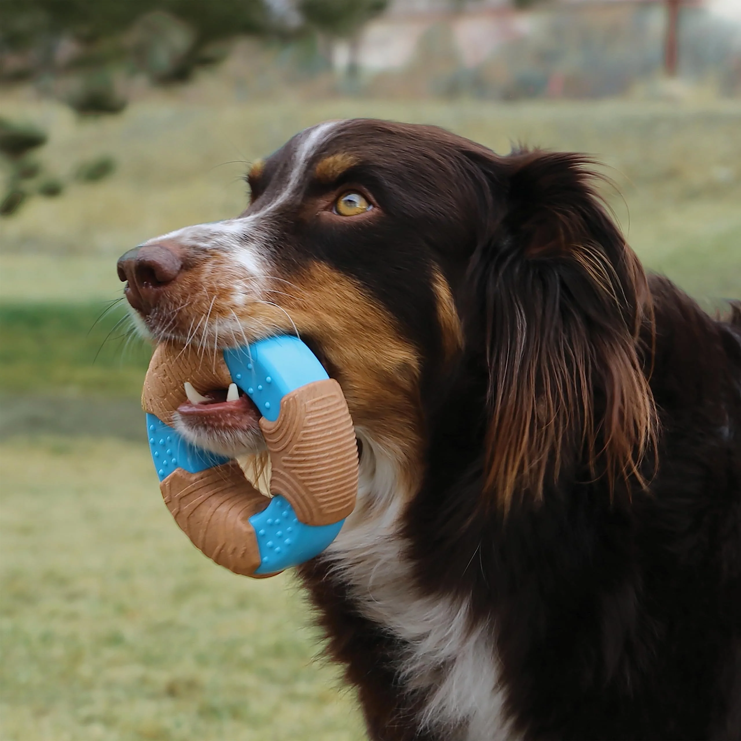 Kong Bamboo Rockerz Ring Dog Toy - X-Small/Small - Image 3