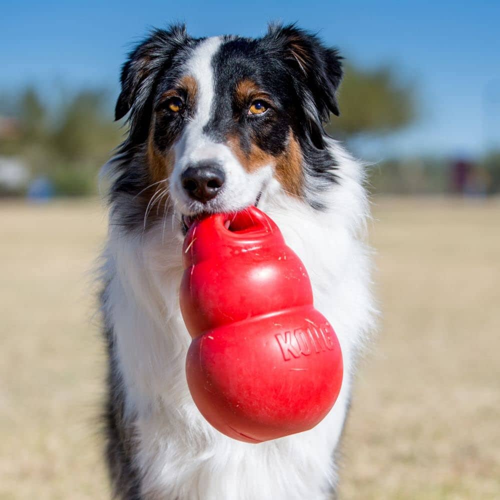 Kong Bounzer Squeak and Rubber Air-Filled Dog Toy Red - Large - Image 3