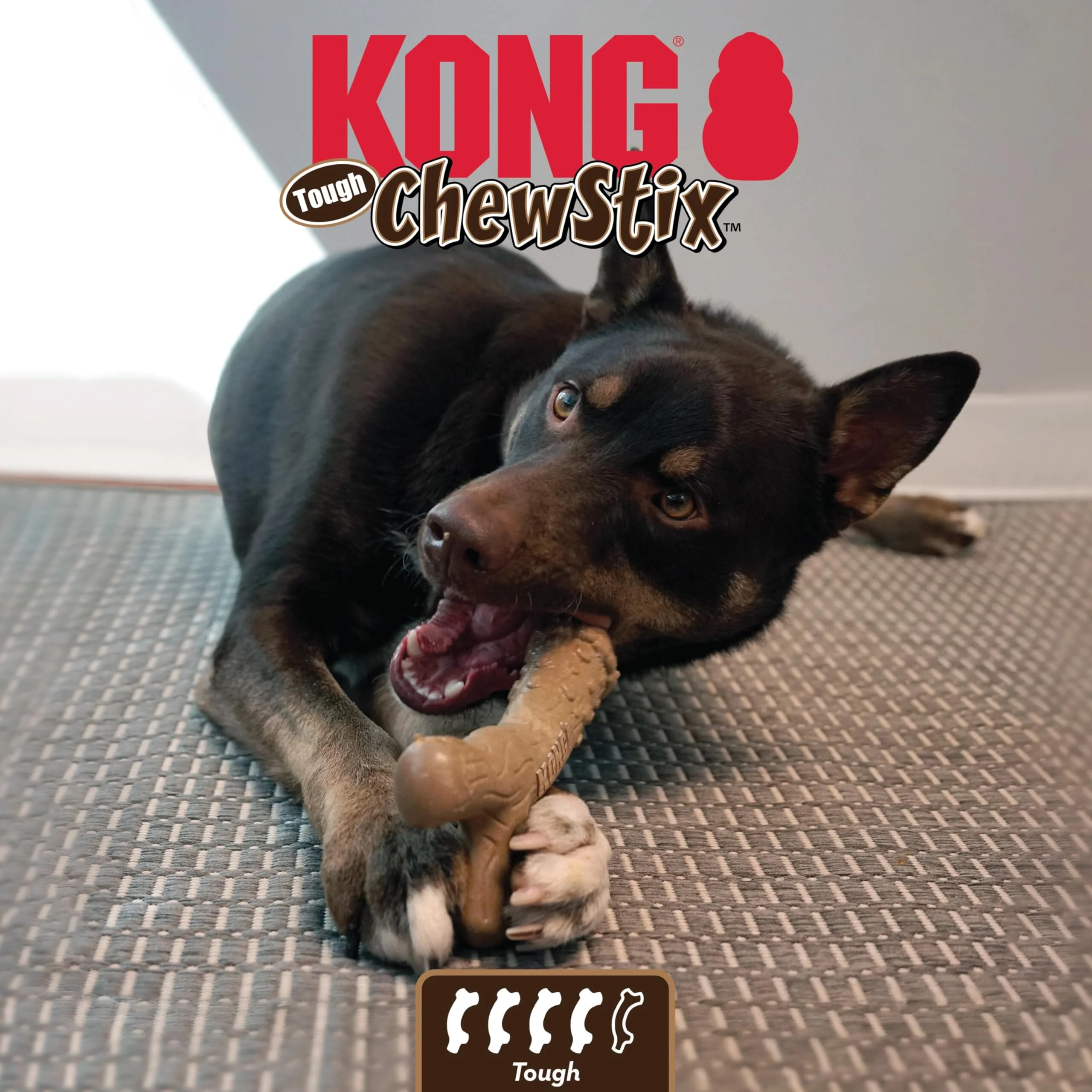 Kong ChewStix Tough Femur Real Wood Bone Dog Toy - Medium - Image 3