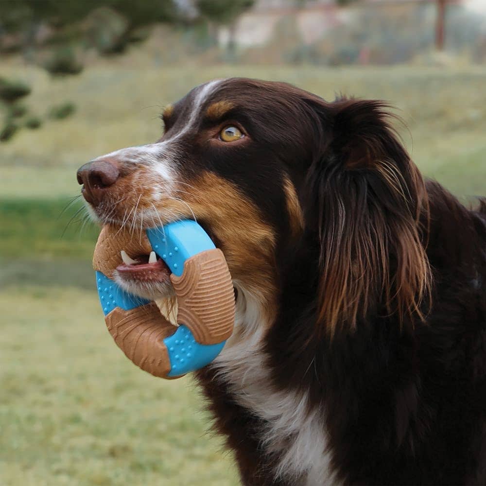Kong CoreStrength Bamboo Infused Bone Dog Toy - Large - Image 2