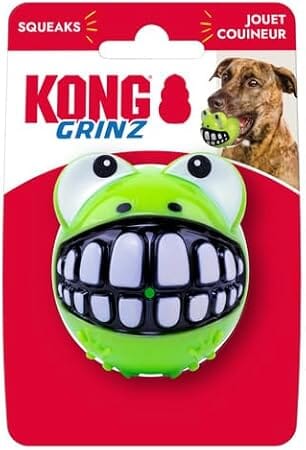 Kong Grinz Frog Bounce and Squeak and Fetch Rubber Dog Toy