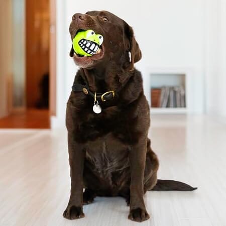 Kong Grinz Frog Bounce and Squeak and Fetch Rubber Dog Toy - Image 4