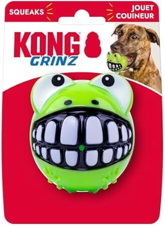 Kong Grinz Frog Bounce and Squeak and Fetch Rubber Dog Toy - Image 5