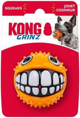 Kong Grinz Puffer Fish Bouncy Ball Squeak and Fetch Rubber Dog Toy