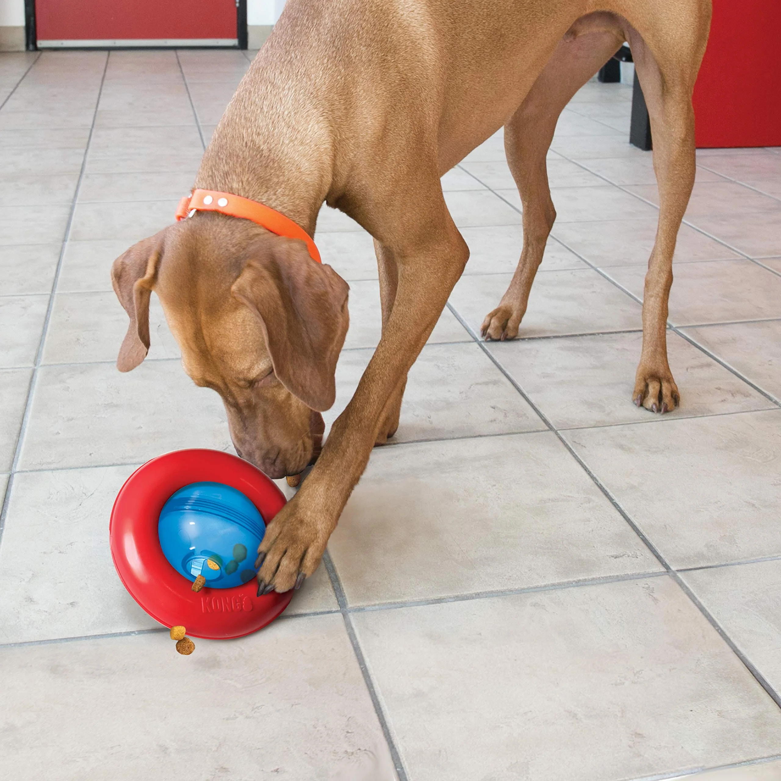Kong Gyro Interactive Treat and Food Dispensing Strong and Sturdy Dog Toy - Large - Image 3