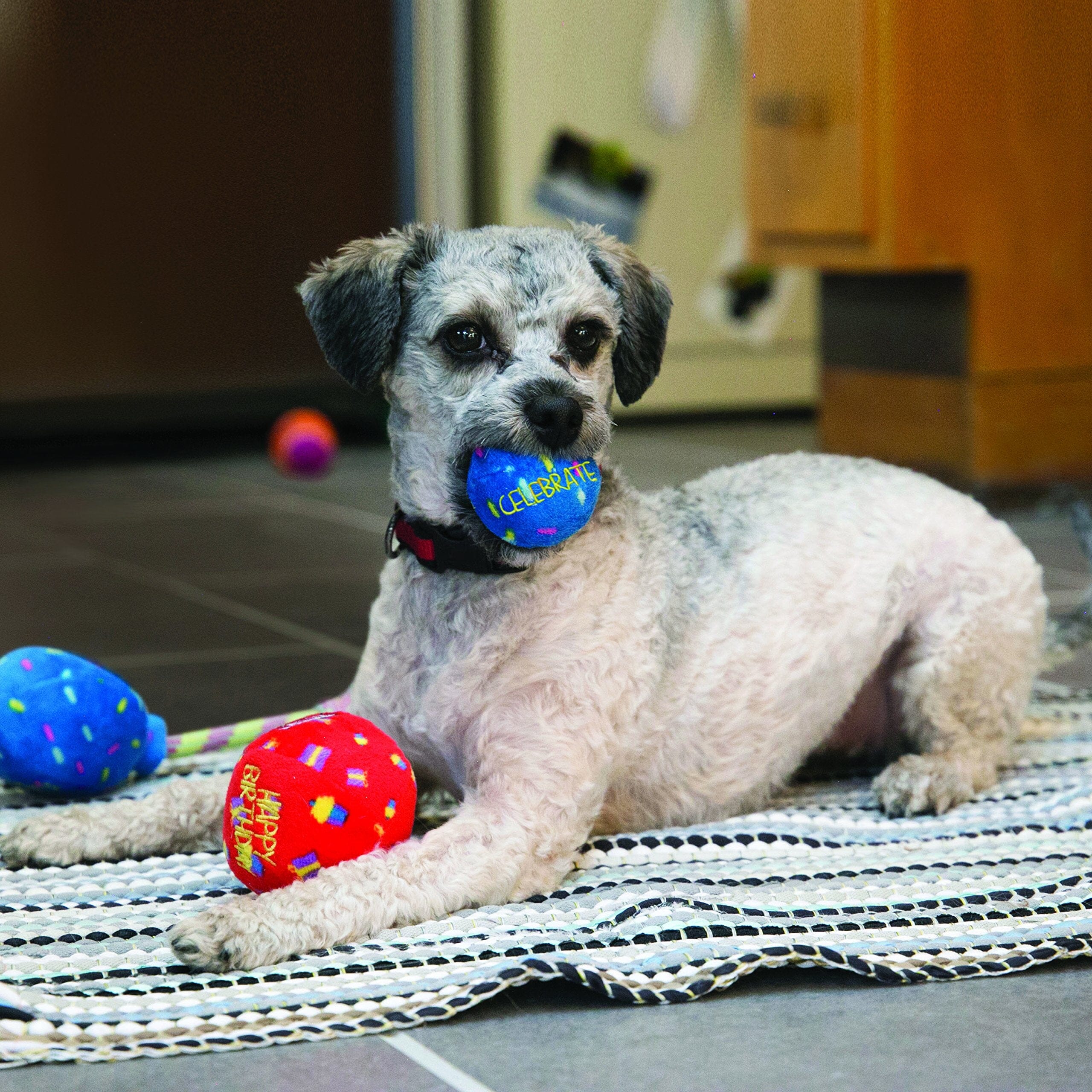 Kong Occassions Birthday Balls Dog Toy - Red - Medium - Image 2