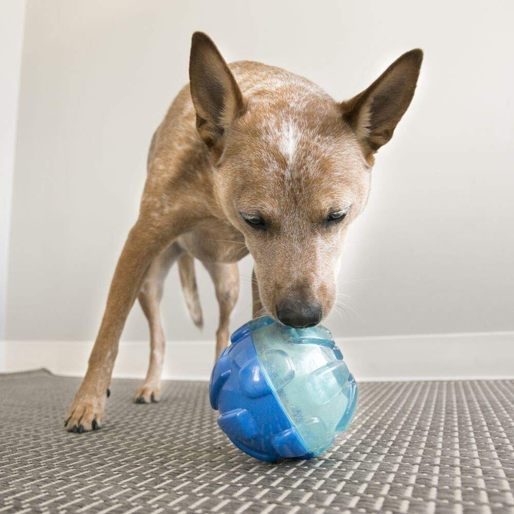 Kong Rewards Ball Treat Inserting Interactive Feeding Dog Toy - Small - Image 3