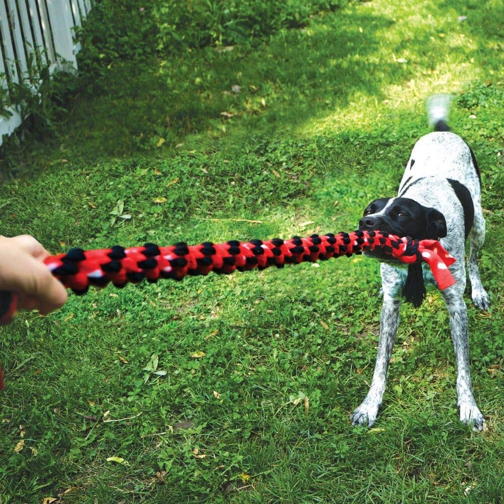 Kong Signature Rope Double Ring Tugging Dog Toy - Image 2