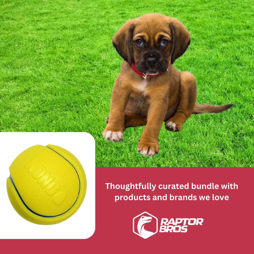 Kong Squeezz Tennis Balls Squeak and Fetch Dog Toys - Bulk - Assorted - Large - Image 2