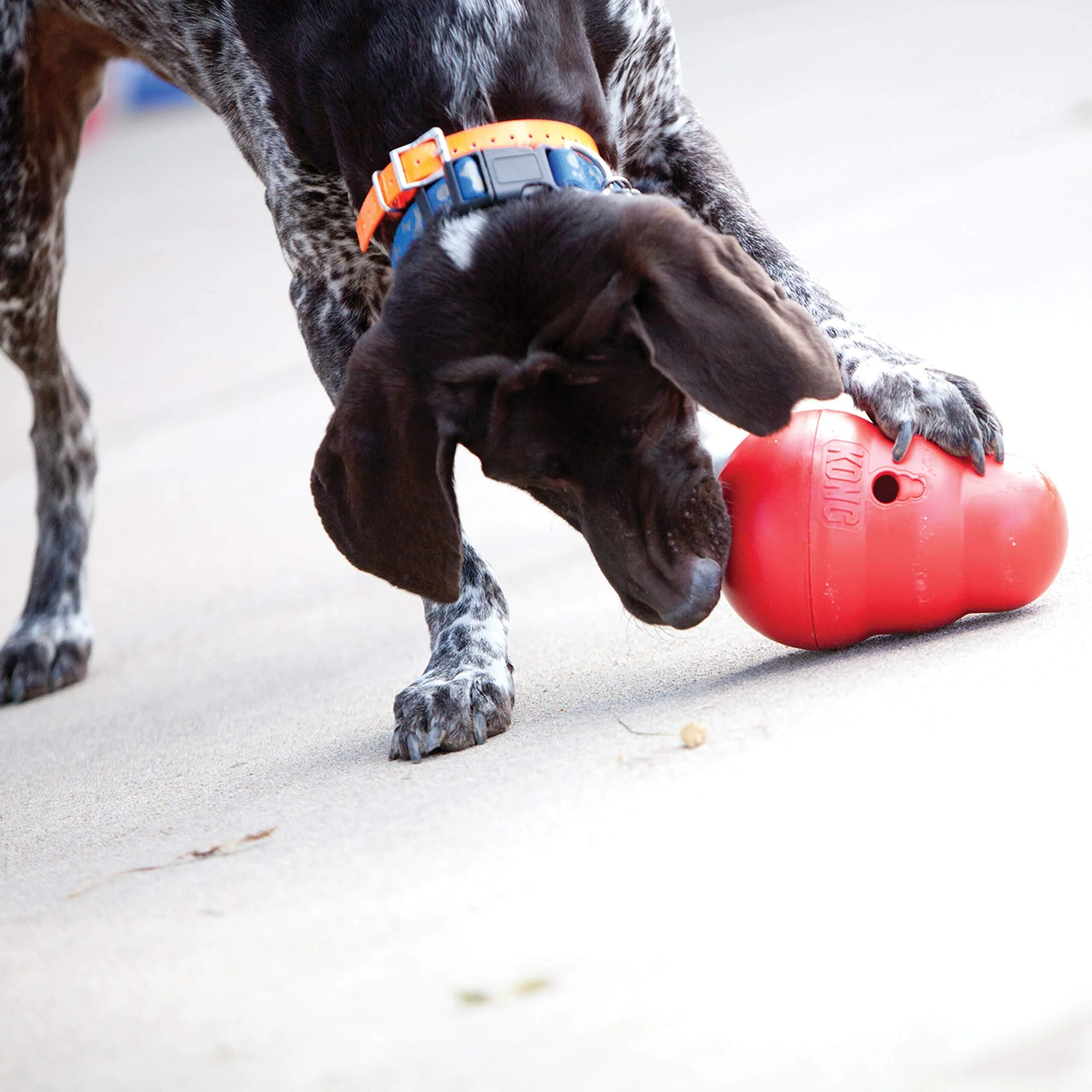 Kong Wobbler Interactive Treat Dispening Dog Toy - Red - Large - Image 3