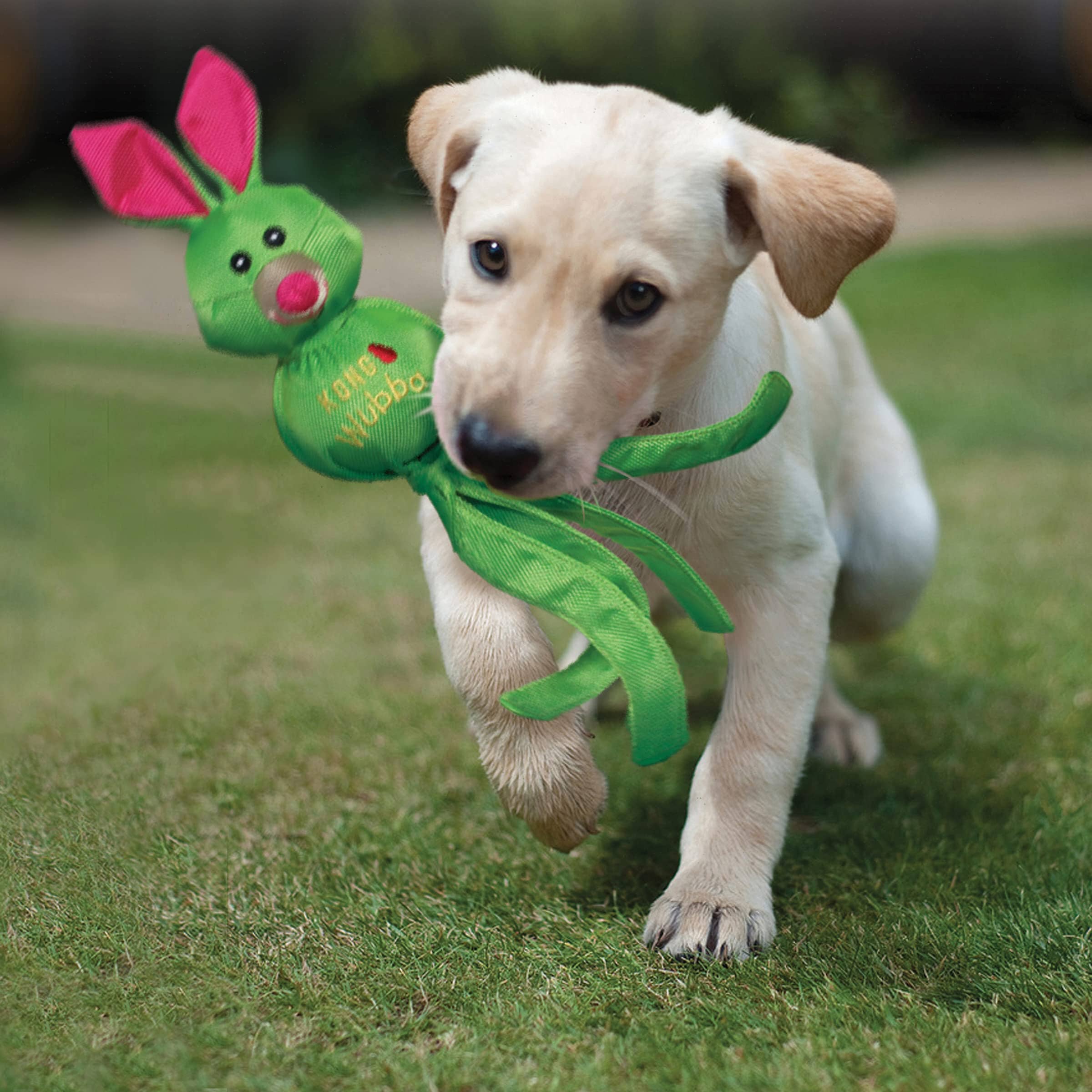 Kong Wubba Friends Tug-of-War Ballistic Nylon Assorted Dog Toy - Image 8