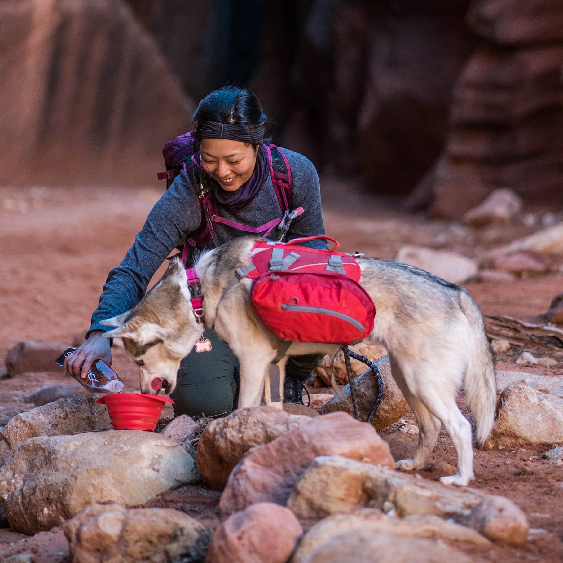 Kurgo Baxter Hiking Reflective Dog Backpack and Harness - Image 13