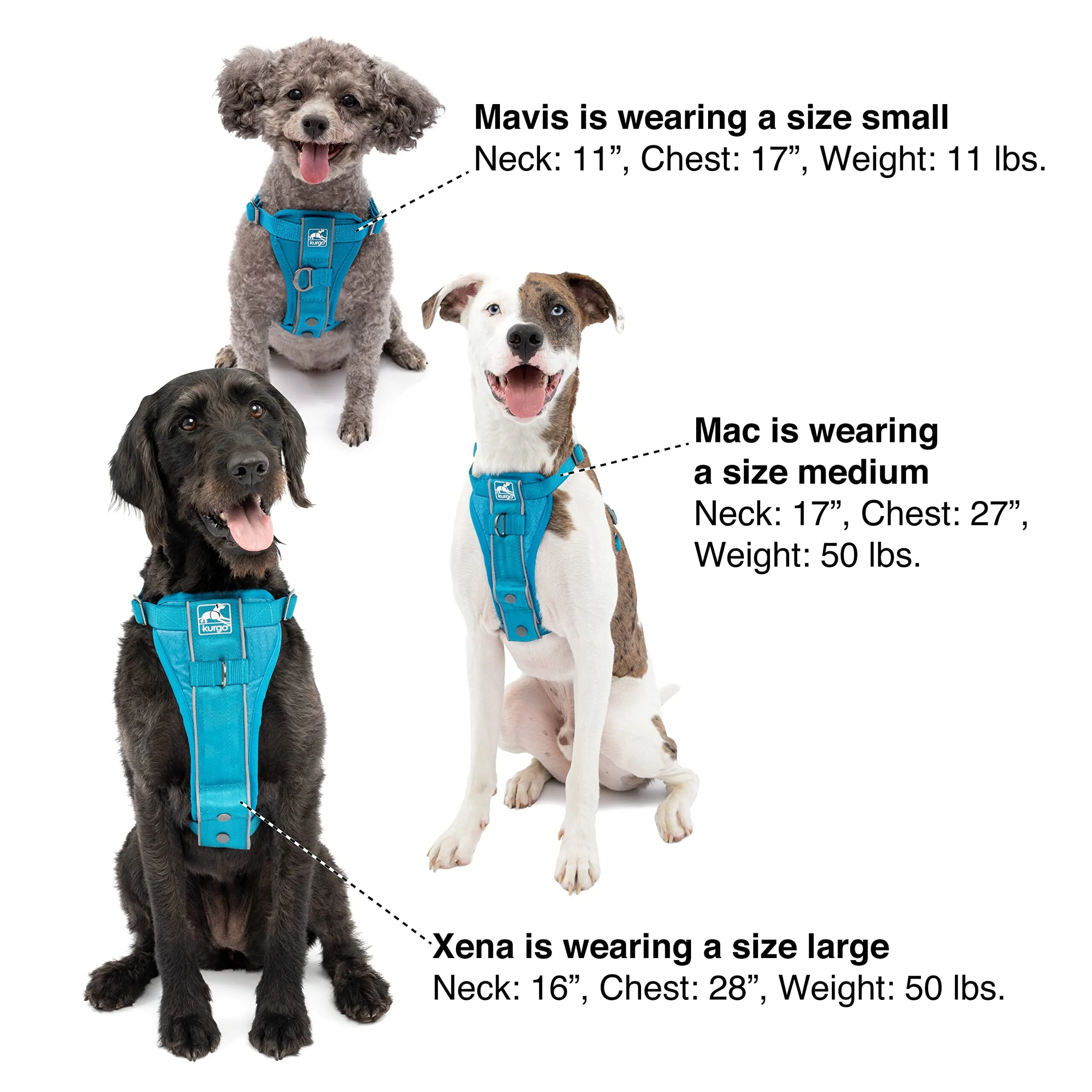 Kurgo Tru-Fit Enhanced Strength No-Pull Smart Dog Harness - Black - Image 10