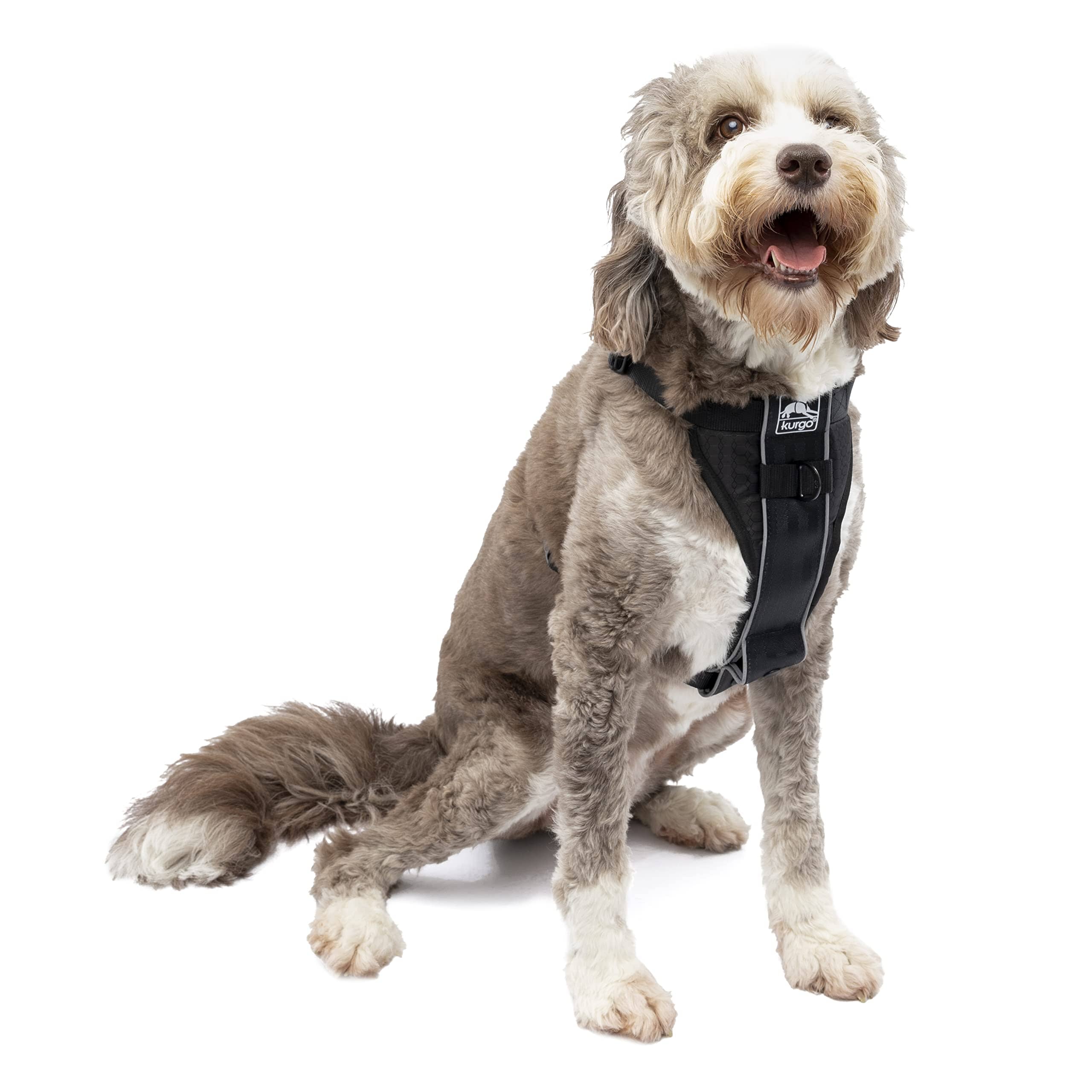 Kurgo Tru-Fit Enhanced Strength No-Pull Smart Dog Harness - Black - Image 3