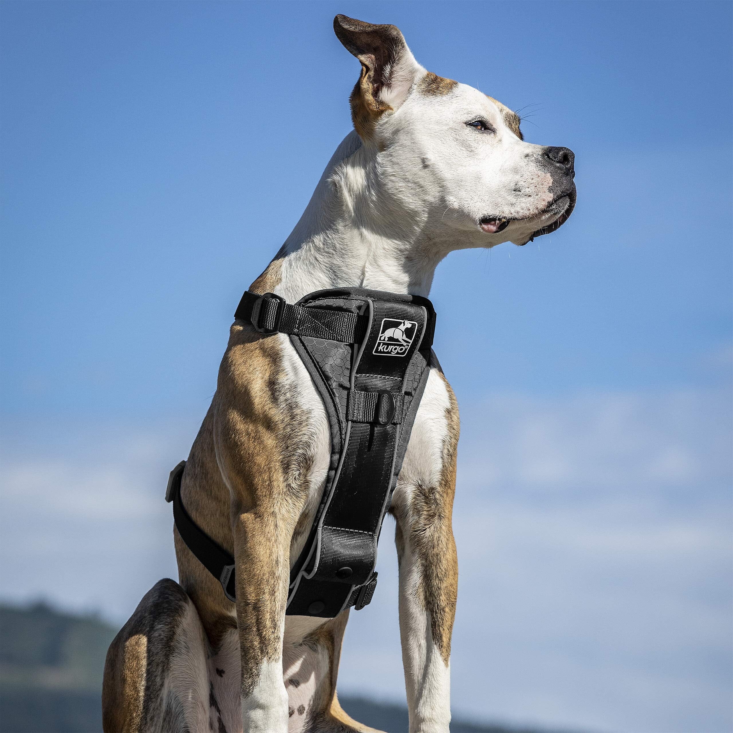 Kurgo Tru-Fit Enhanced Strength No-Pull Smart Dog Harness - Black - Image 6