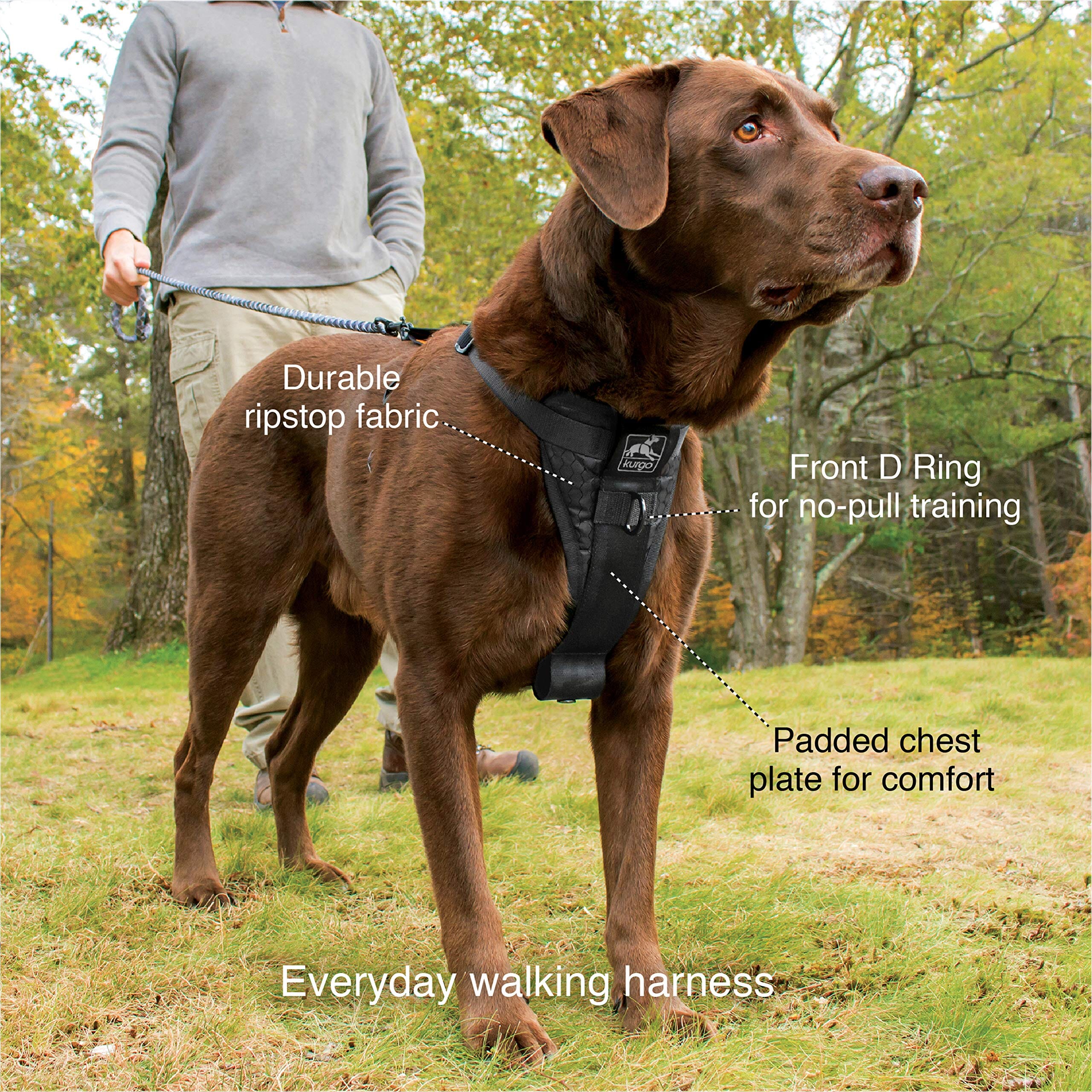 Kurgo Tru-Fit Enhanced Strength No-Pull Smart Dog Harness - Black - Image 9