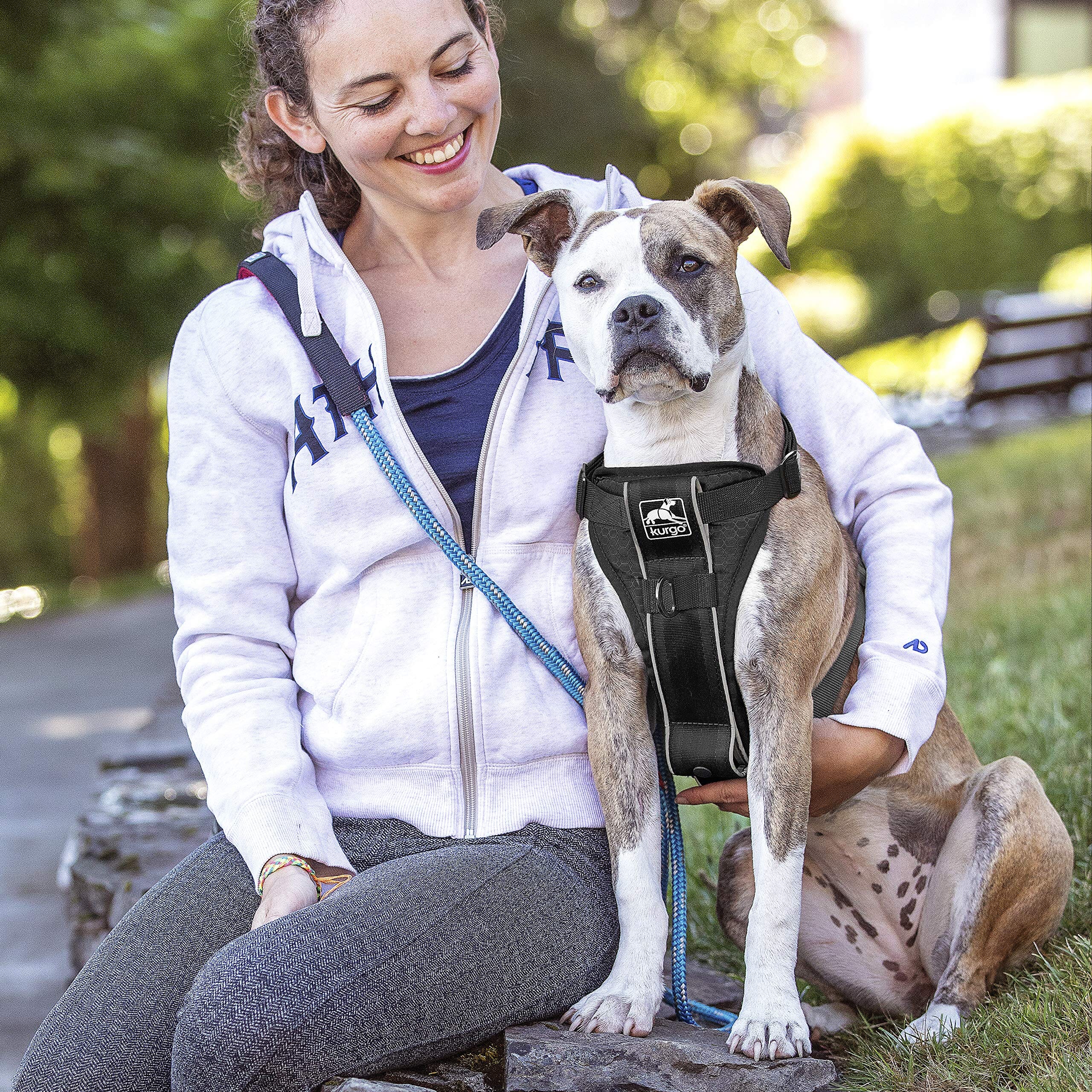 Kurgo Tru-Fit Quick-Release No-Pull Tether Smart Dog Harness - Black - Image 4