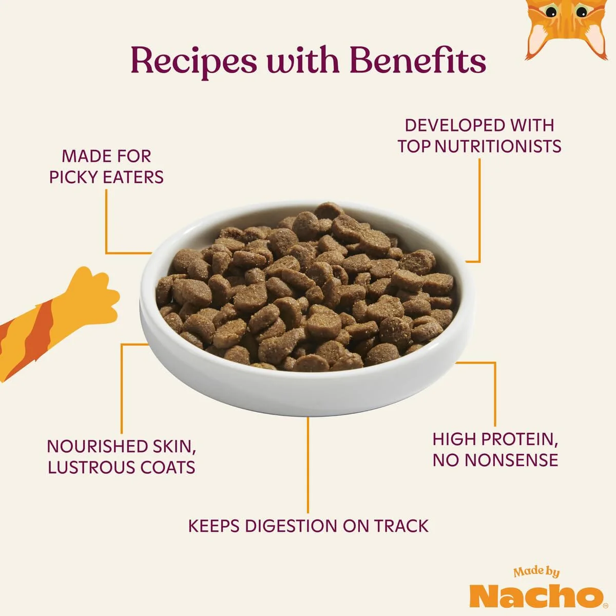 Made by Nacho Salmon and Pumpkin in Bone Broth Dry Cat Food - 4 Lbs - Image 3