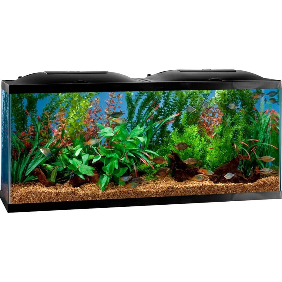 Marineland Bio-Wheel LED Aquarium Kit Aquatics Starter Kits - 55 Gal - 48 X 13 X 20 - Image 3