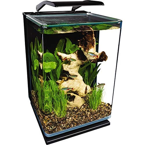 Marineland Portrait Kit Aquatics Starter Kits - 5 Gal - Image 2
