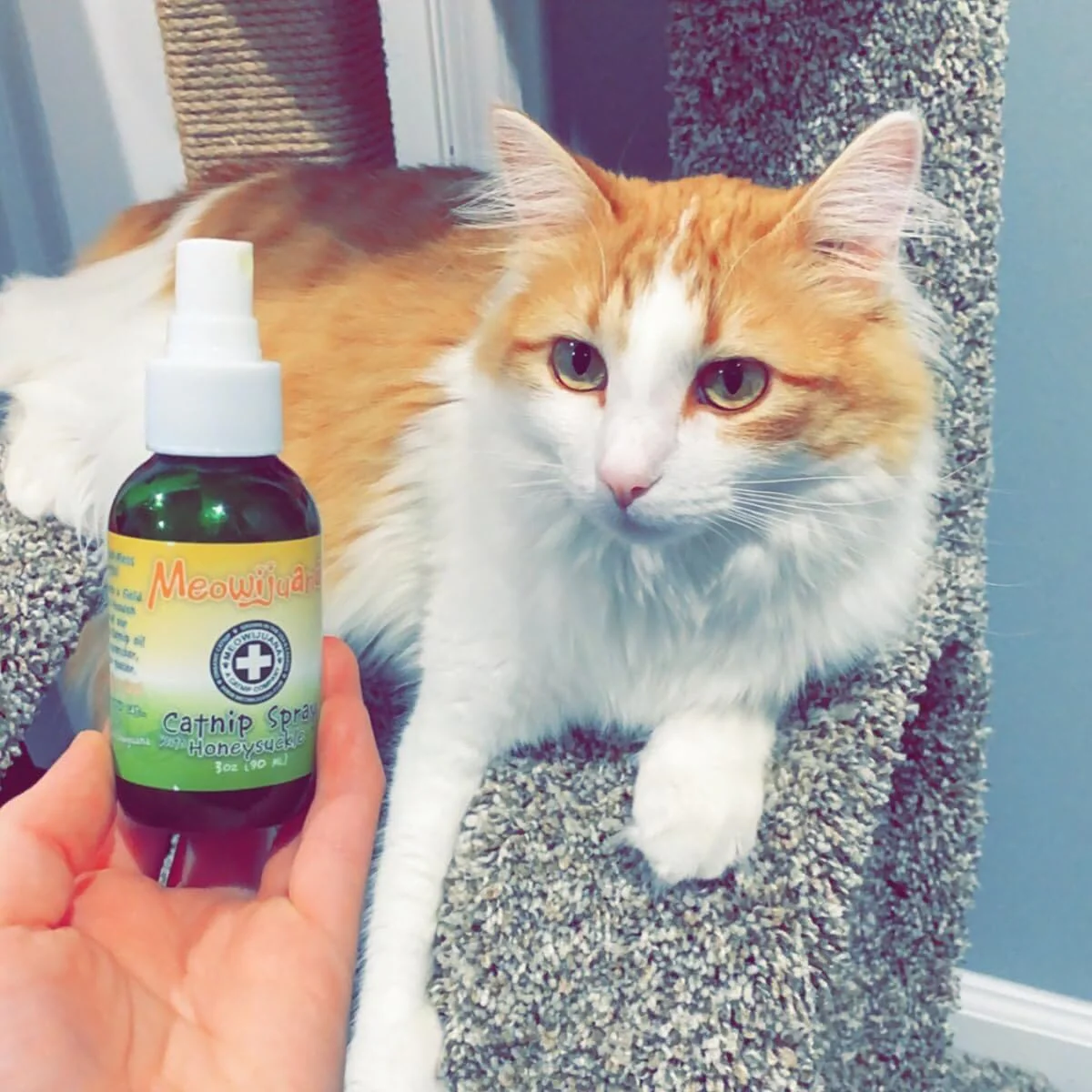 Meowijuana Honeysuckle Premium Catnip Cat Spray - 3 Oz - Image 4