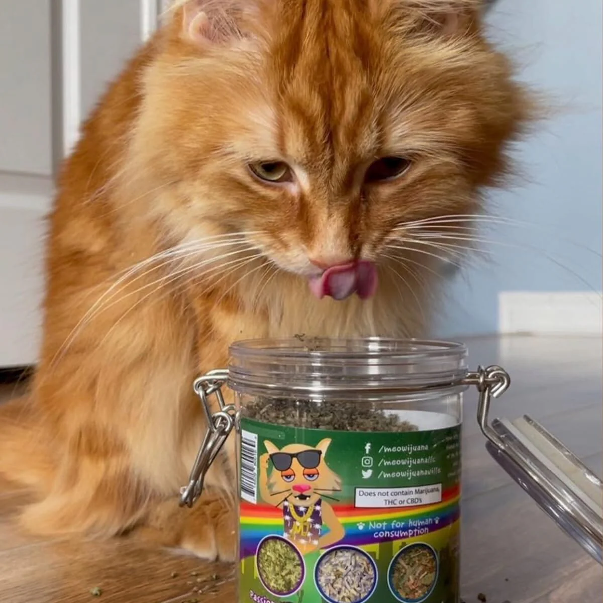 Meowijuana Jar of Pawty Mix Organic Premium Catnip - 60g - Image 4