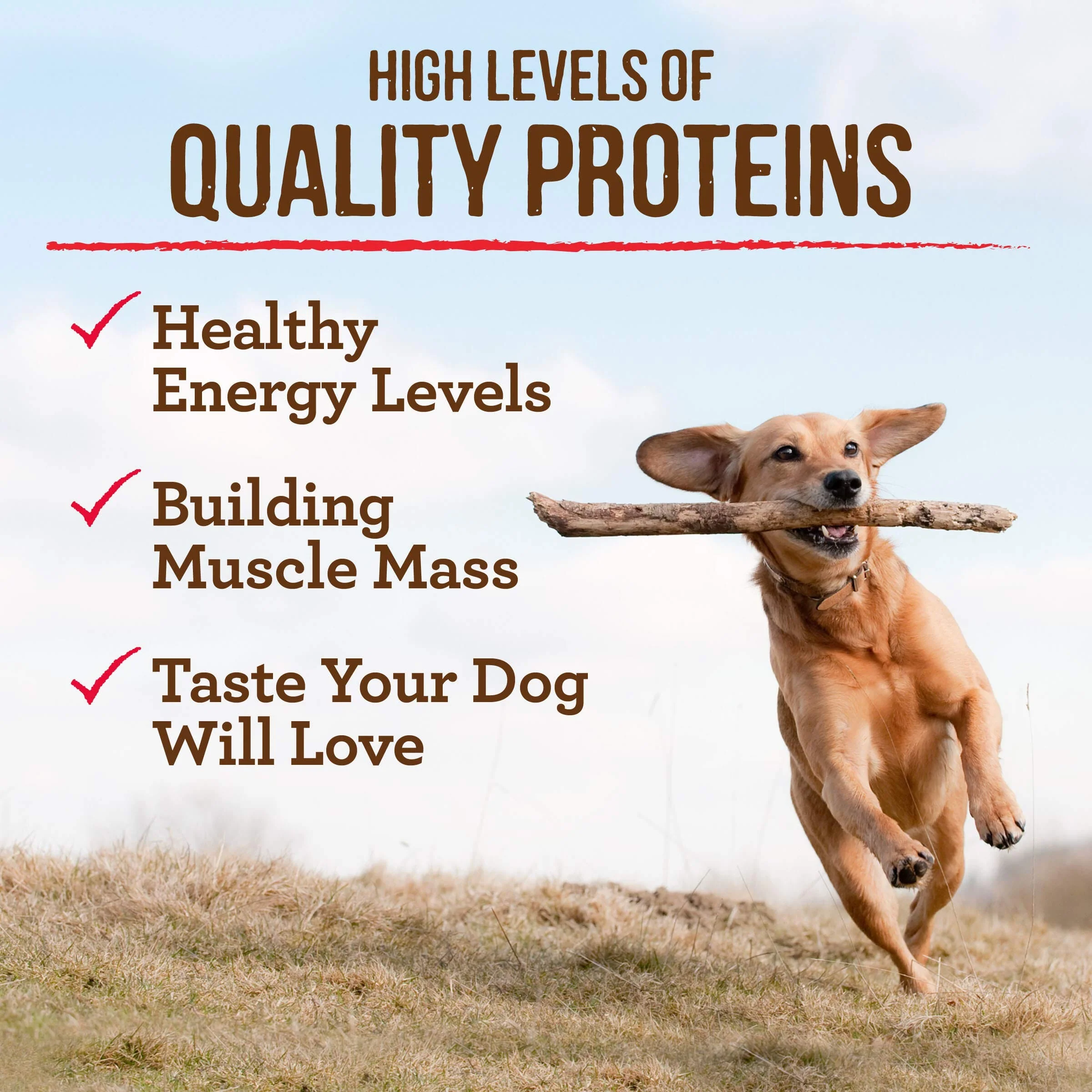 Merrick Grain-Free Texas Beef and Sweet Potato Dry Dog Food - Image 5